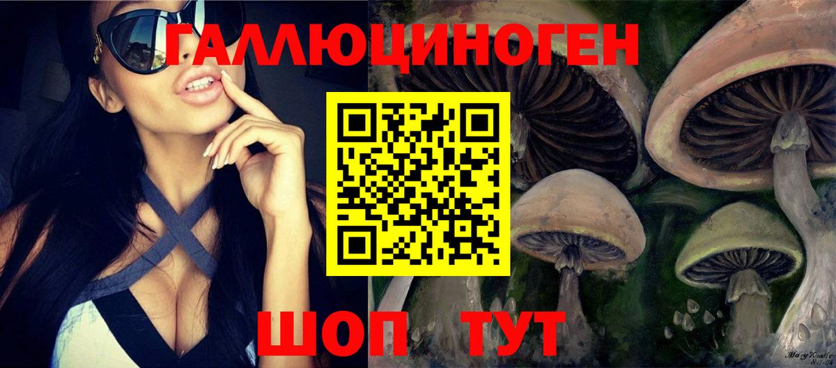 Псилоцибиновые грибы прущие грибы Усинск