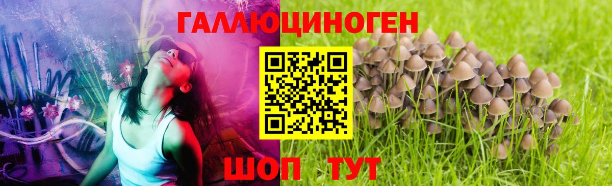 Усинск  Галлюциногенные грибы мухоморы  Вход с VPN  Галлюциногенные грибы Psilocybine cubensis 